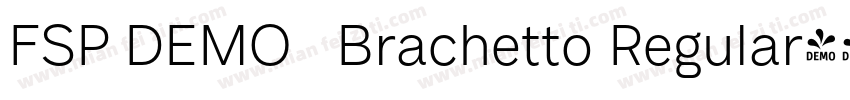 FSP DEMO   Brachetto Regular字体转换